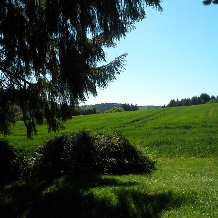 Blick In Die Suedeifel Biersdorf am See Екстер'єр фото
