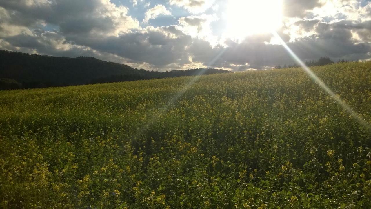 Blick In Die Suedeifel Biersdorf am See Екстер'єр фото
